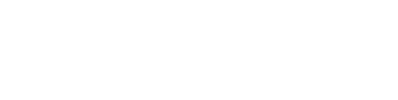 Properties in Paradise Logo